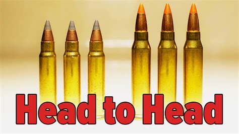 Head To Head 17 Hmr Vs 17 Wsm An Official Journal Of The Nra