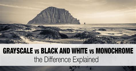 Grayscale Vs Black And White Vs Monochrome The Difference Explained