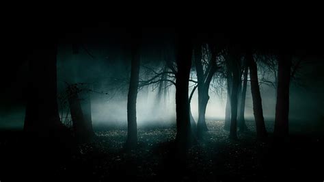 Free Dark Nature Wallpapers High Quality At Landscape