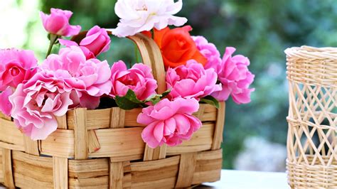 Basket Roses Flowers Gardens Spring Nature Beauty Love Romance