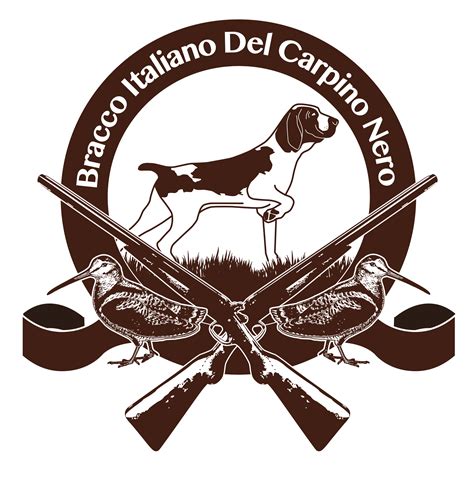 Bracco Logo Download Png - vrogue.co