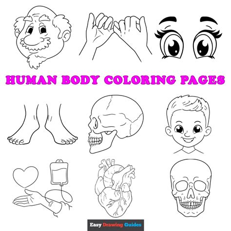 Free Printable Human Body Coloring Pages For Kids