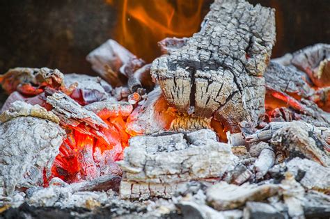 8 Uses For Wood Ash In Your Home Garden And Plants This Old House