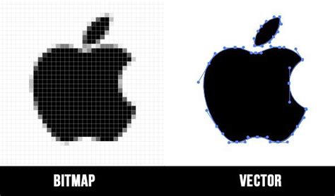 Perbedaan Gambar Bitmap Dan Vector Serta Contohnya Sa Vrogue Co