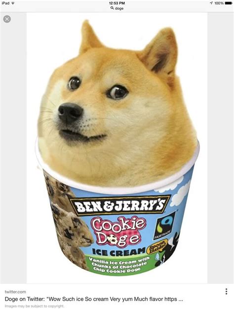 Such Cookie Doge Much Wow With Images Doge Meme Doge
