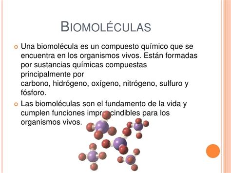 Que Son Las Biomoleculas Images And Photos Finder