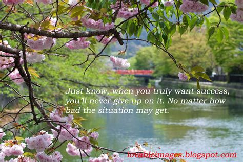 Lovable Images: Life Inspirational Quotes With Images Free ...