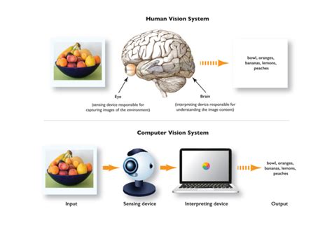 Unveiling The Power Of Computer Vision A Journey Into Visual