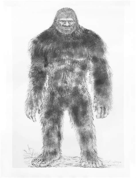 Sasquatch Drawing At Explore Collection Of