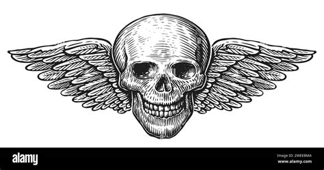 Human Skull With Wings Hand Drawn Winged Skeleton Head Sketch Vintage