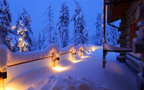 Landscapes Nature Winter Snow Trees Forests Night Fenceline