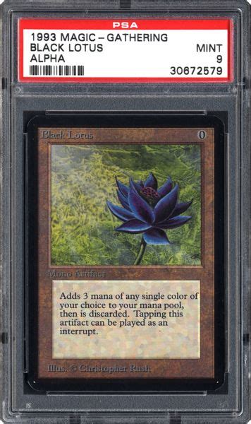 This is a story about the most desirable card in the history of magic. 1993 Magic: The Gathering - Alpha Black Lotus | PSA CardFacts™