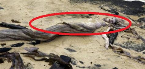 Sekarang dia tinggal bersama barnacleboy, rekannya, di rumah panti jompo shady shoals. 12+ Foto Penampakan Putri Duyung Asli Tanpa Rekayasa ...