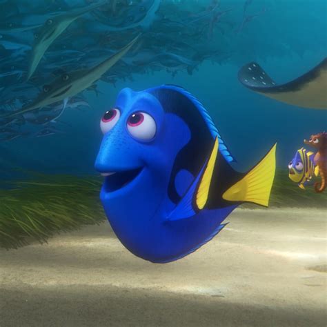 2 Finding Nemo Connections You May Have Missed In Finding Dory Disney