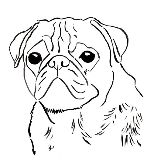 Top 30 free printable cat coloring pages for kids. Pug Dog Coloring Pages - Coloring Home