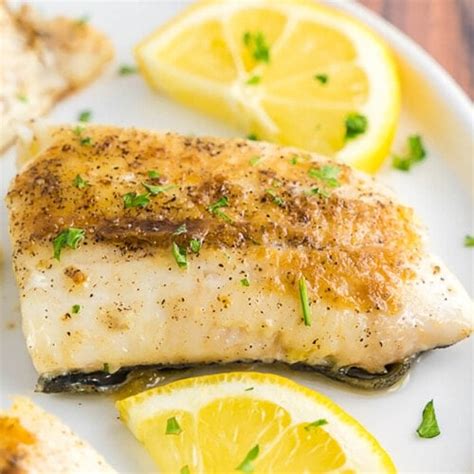 Haddock Fish Fillet