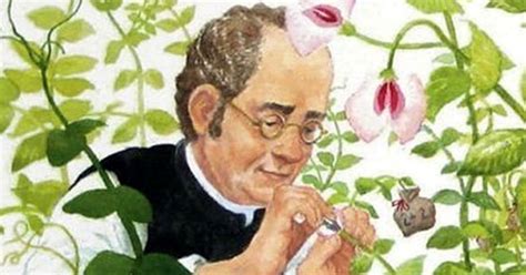 Johann Gregor Mendel Y Las Leyes De Mendel Biología