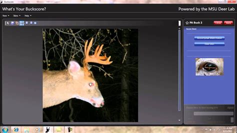 Score Your Whitetail Buck From 90 Features Youtube