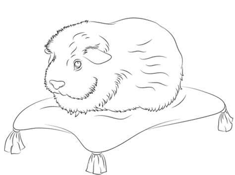 Design und stil planen vorhersehbare zukunft ermutigt ihr meine eigenen. Cute Guinea Pig Sits on A Pillow coloring page | Free ...
