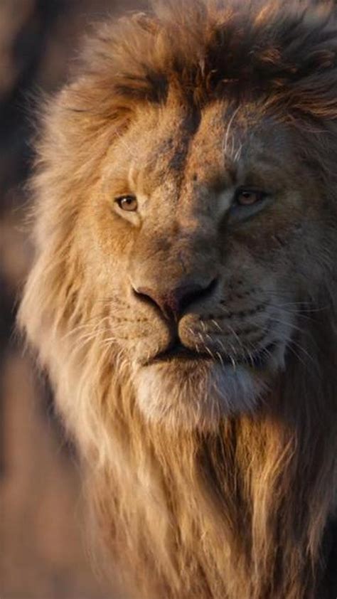 John kani, seth rogen, donald glover and others. The Lion King 2019 Full Movie Poster | 2020 Movie Poster ...