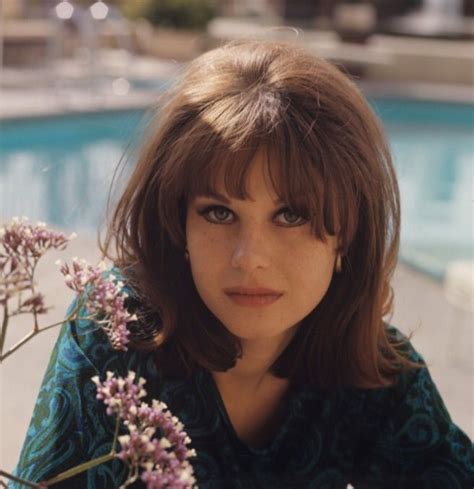 Picture Of Lana Wood Film Producer American Actress Lana