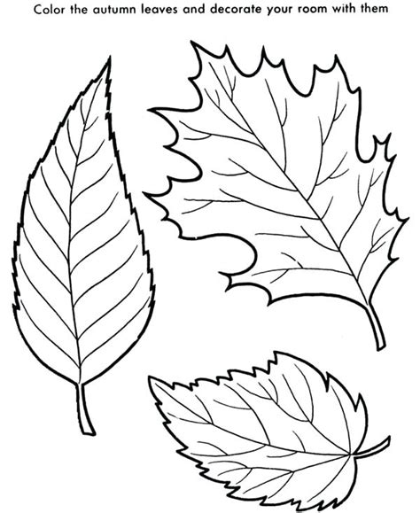 Maple Leaf Coloring Page at GetColorings.com | Free printable colorings