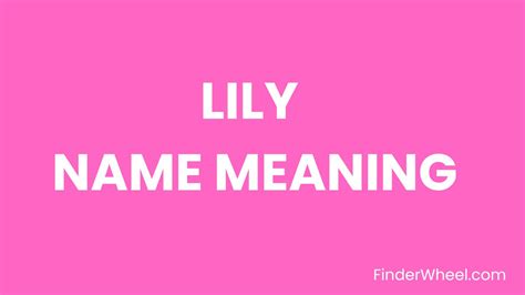 lily name meaning origin popularity and nicknames