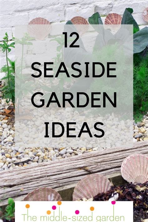 How To Create A Delightful Seaside Garden Seaside Garden Beach