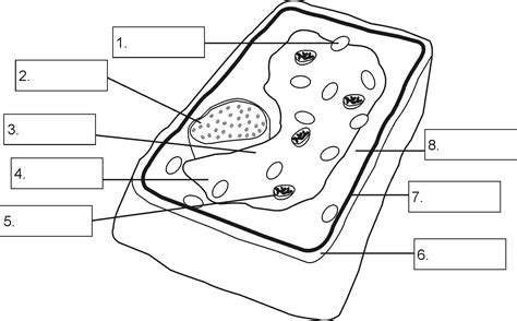Many candidates dread getting a diagram labelling question in their ielts reading test because they fear that they won't understand the diagram, especially if it's on a technical subject. Structure of a plant cell By OpenStax | QuizOver.com