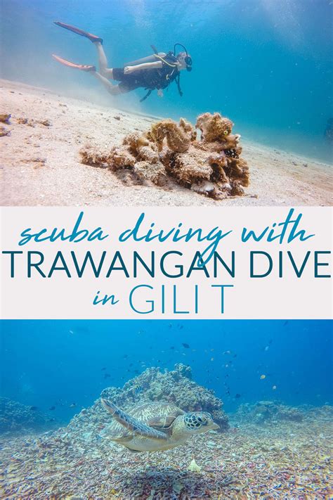 Scuba Diving With Trawangan Dive Centre In Gili T The Blonde Abroad