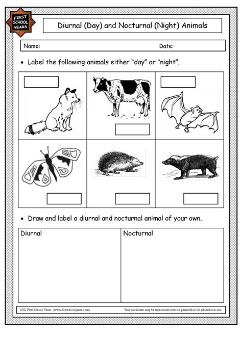 15 Best Images of Classifying Animals Worksheets Preschool ...