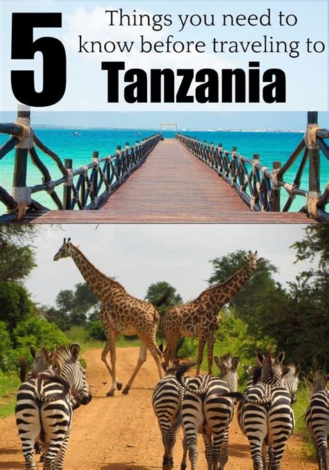 Planning Or Dreaming Of Traveling To Tanzania Then Read These 5