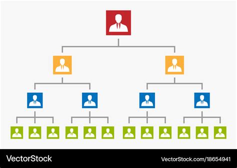 Organization Chart Tree Corporate Hierarchy Vector Image