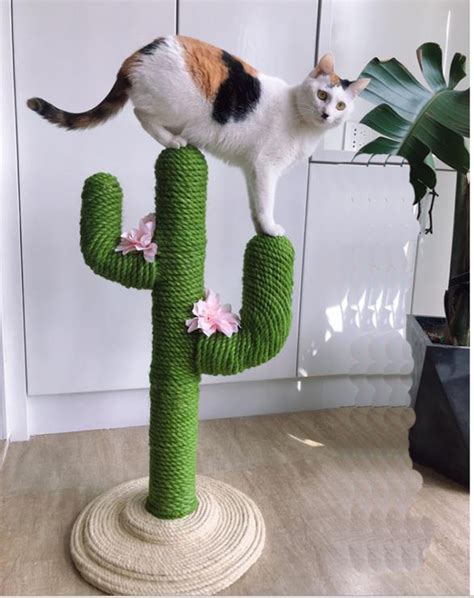 Don't worry about your cats becoming too fat and this cat tree. Creative cactus cat tree in 2020 | Cat tree, Cactus cat ...