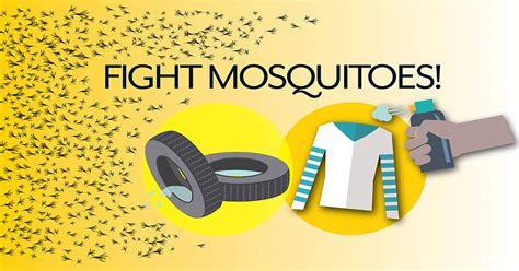 Health Officials Issue Mosquito Borne Illness Advisory Florida
