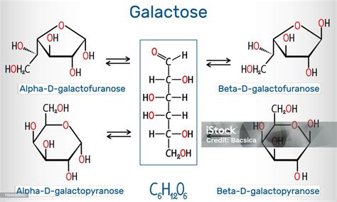 Tautomeric Forms Of Dgalactose Milk Sugar Alphad Galactofuranose Betad