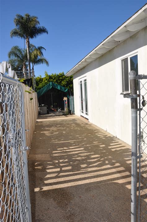 Check spelling or type a new query. Plumeria Winter Shelter | Plumeria Care