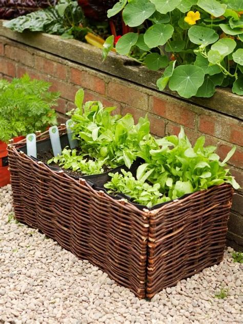 Growing Salad Greens In Window Boxes Container Gardening