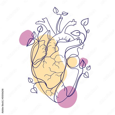 Abstract Human Anatomical Heart Line Art Modern Drawingvector Graphic