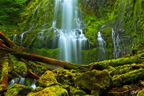 C137 Proxy Falls Willamette National Forest Oregon Randall J Hodges