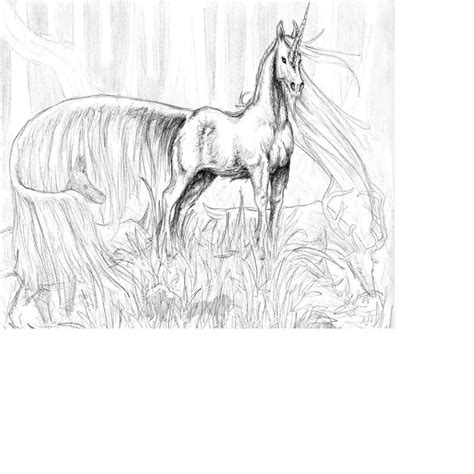 Realistic Hard Horse Coloring Pages And Book For Kids