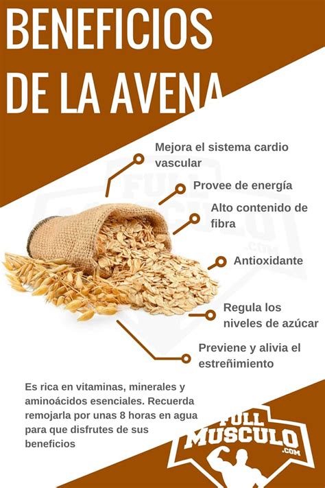 Agua De Avena Para Adelgazar Y Sus Incre Bles Beneficios