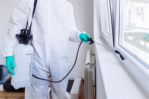 Pest Control Services Keeping Homes Clean Hydrex Pest Control