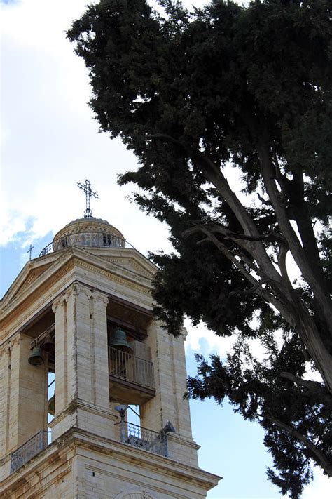 Nativity Church Tree Photograph By Munir Alawi Pixels