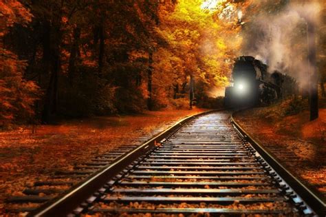 Beautiful Autumn Train Railroad Railroad Tracks
