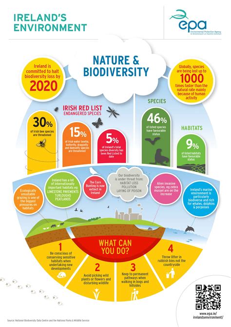 Epa Nature And Biodiversity Infographic High School Environmental