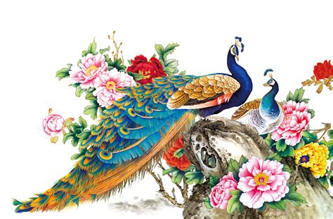Chinese Painting Techniques Bird Peafowl Wall decal - FIG flowers Peacock 2599*1720 transprent ...