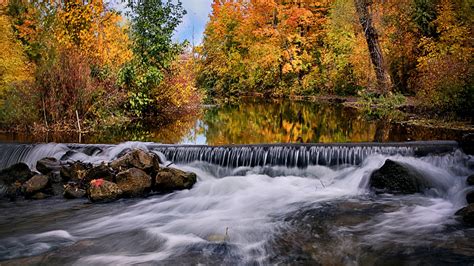 Canada Forest And Ontario River During Fall Hd Nature Wallpapers Hd