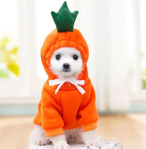 Pet Costume Dog Cat Halloween Costume Funny Pet Costumes Etsy