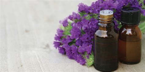 There is train service as far as rennes from several cities in france, including paris. Pharmacie Saint-Nicolas à Montfort-sur-Meu Aromathérapie ...